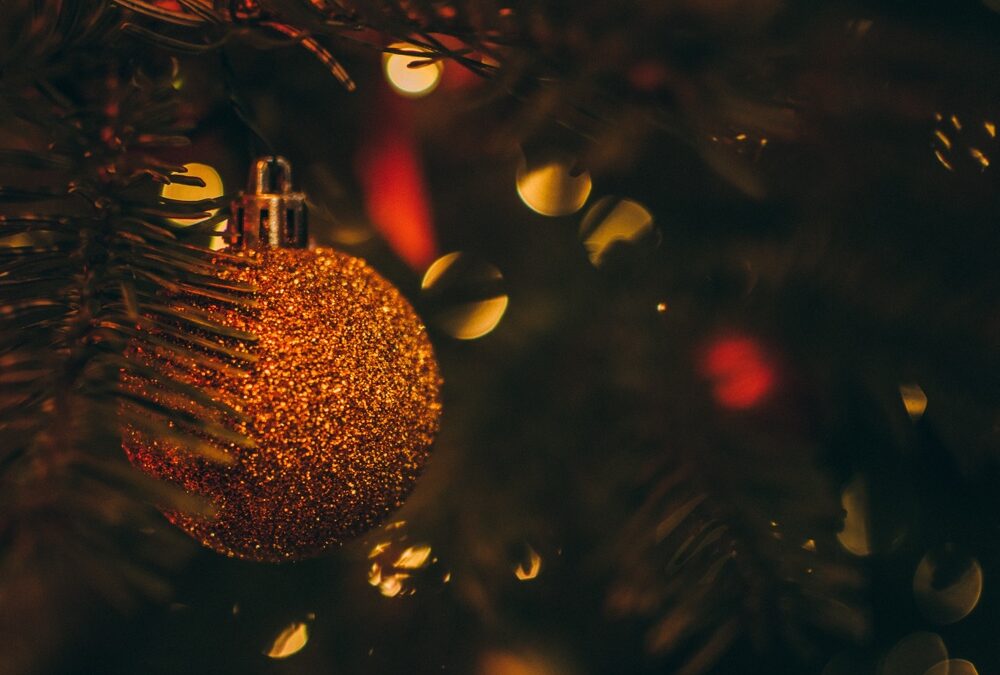 The Night Before Kung Fu Christmas